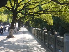 -闸弄口(地铁站)