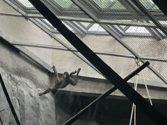-武汉动物园