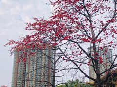 -晓港公园