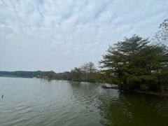 -海珠湖公园