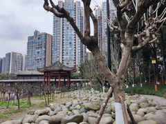-温江公园