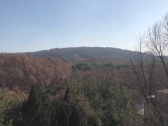 -武汉大学-樱园