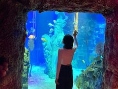 -沈阳海洋探索中心