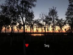 -天津东丽湖风景区