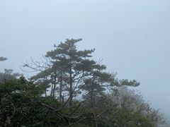 -沂蒙山旅游区云蒙景区(蒙山国家森林公园)