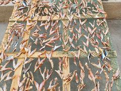 -丰收渔港饭店(嵊泗店)