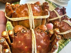 -蟹天蟹地农家菜·阳澄湖大闸蟹(浅水湾店)