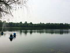 -蠡湖大桥公园