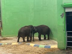 -大连森林动物园