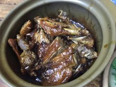 焖鸭-和记菜馆