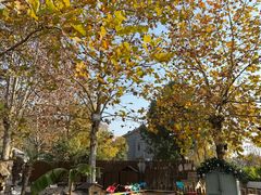 -HERRE·FARM 赫尔露营农场·团建聚会包场