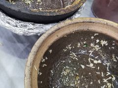 -红星光发煲仔饭(大石街店)