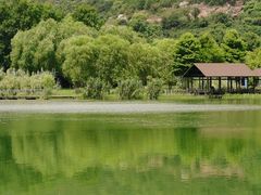-长广溪湿地公园