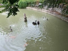 -上海虹桥迎宾馆