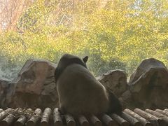 -扬州市茱萸湾风景区
