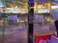 -移动谜城·大笨象密室逃脱(五棵松店)