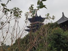 -杭州半山国家森林公园