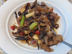 -佳兰雅序融合菜(高新店)