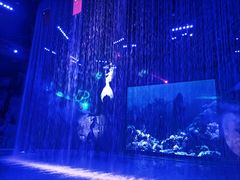 -芜湖新华联大白鲸海洋公园