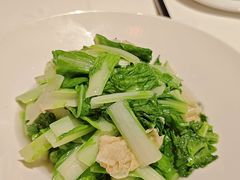 豆皮青菜-张福记(五一公园店)