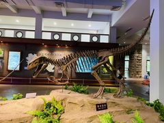 -自贡恐龙博物馆