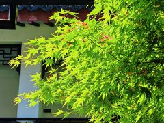 -中国湖笔博物馆(莲花庄路)