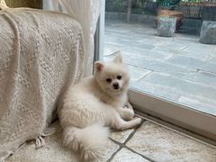 -零几体验diy皮具工作室(振业城店)