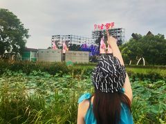 -荷兰花海