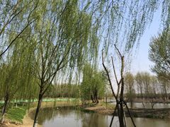 -东郊湿地公园