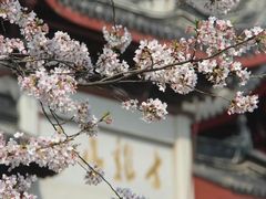 -南京城墙景区