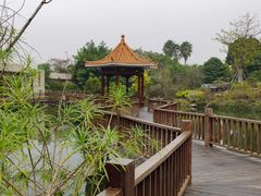 -龙山酒店温泉
