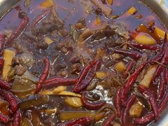 -蜀香居鲜毛肚火锅