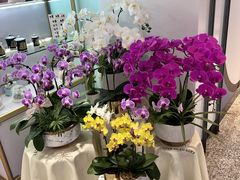 -EPOQUE·一刻花店(兴业太古汇店)