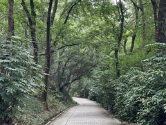 -虞山风景区