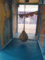 -玩童会芝麻街奇趣乐园(世博源店)