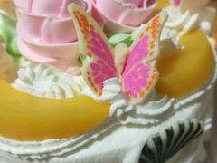 -红宝石·鲜奶小方(曲阳店)