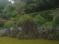 -重庆平顶山公园