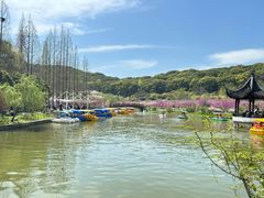 -苏州上方山国家森林公园