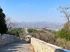 -原山国家森林公园