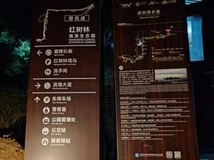 -深圳湾公园(南山区)