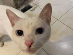 -BomBa意大利餐厅