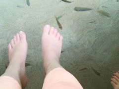 -碧水湾温泉