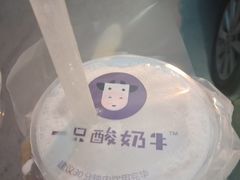 -一只酸奶牛(奎星楼店)