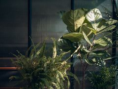 -一尺花园(安和花园店)