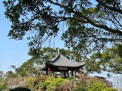 -江心屿景区