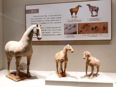 -深圳博物馆(古代艺术馆)