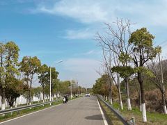 -青龙山国家森林公园