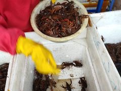 -马王堆海鲜水产市场