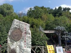 -王顺山国家森林公园