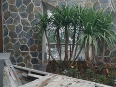 -琼菜坊·无鸡不成宴·海南菜老爸茶糟粕醋(海口骑楼老街店)